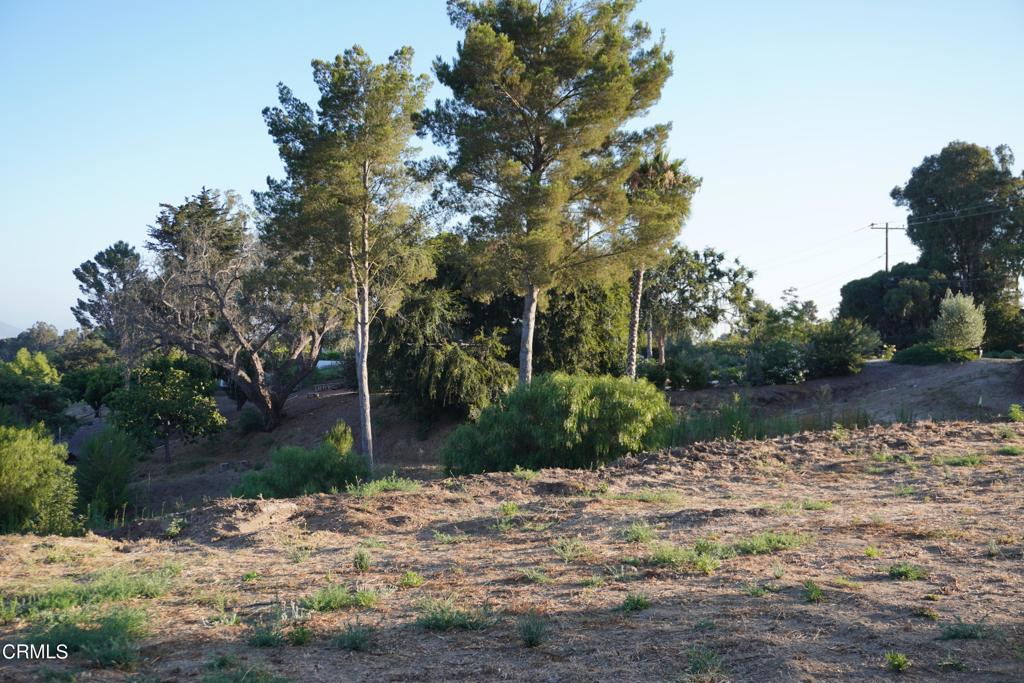 0 Vientos Road Property Photo 37