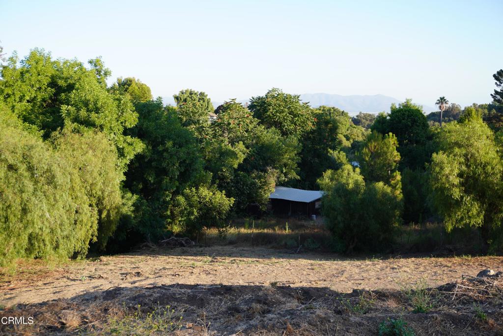 0 Vientos Road Property Photo 38