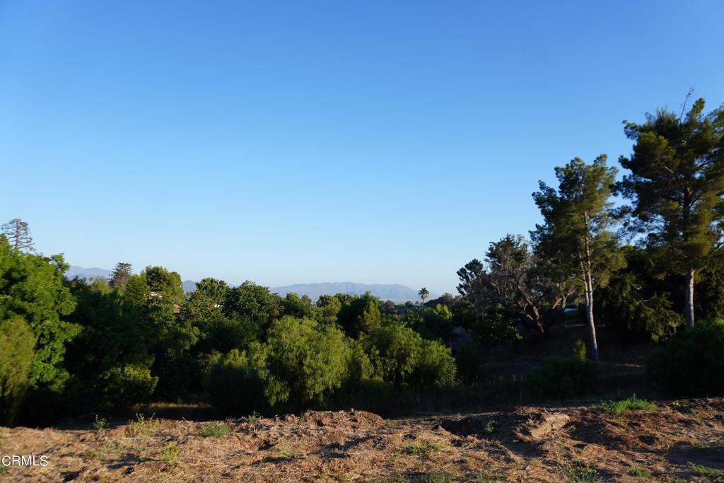 0 Vientos Road Property Photo 39