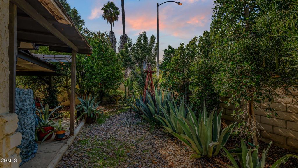 14476 Avenida Colonia Property Photo 53