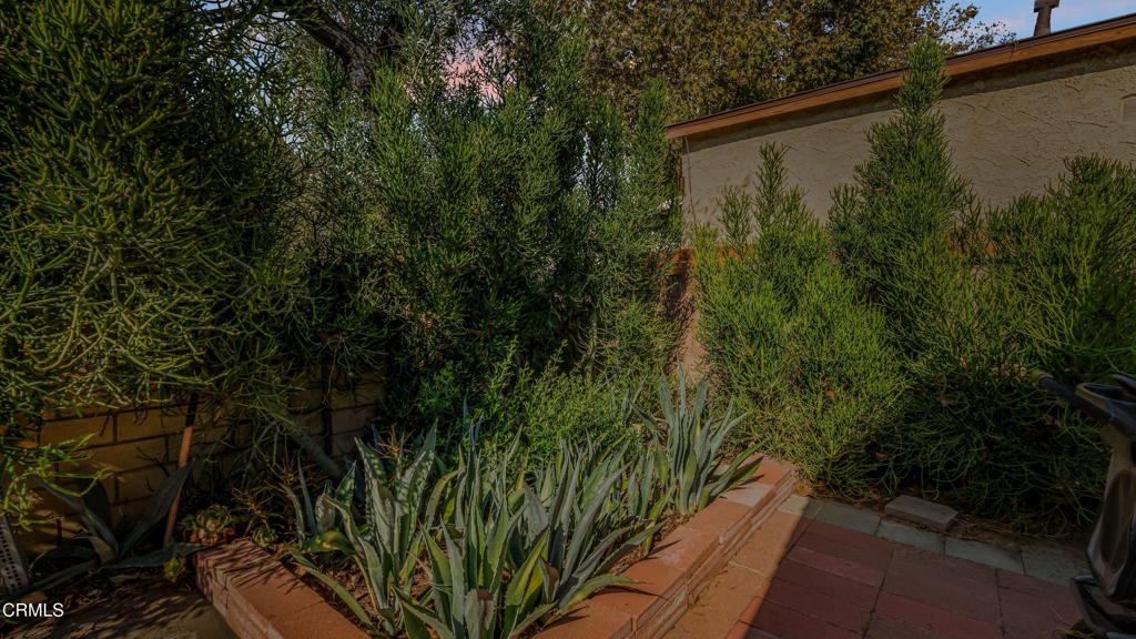 14476 Avenida Colonia Property Photo 56