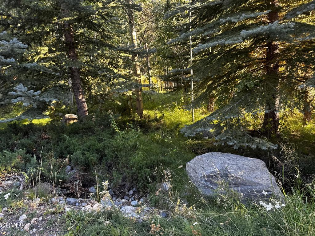 Lot 4 Minaret Road Property Photo 1