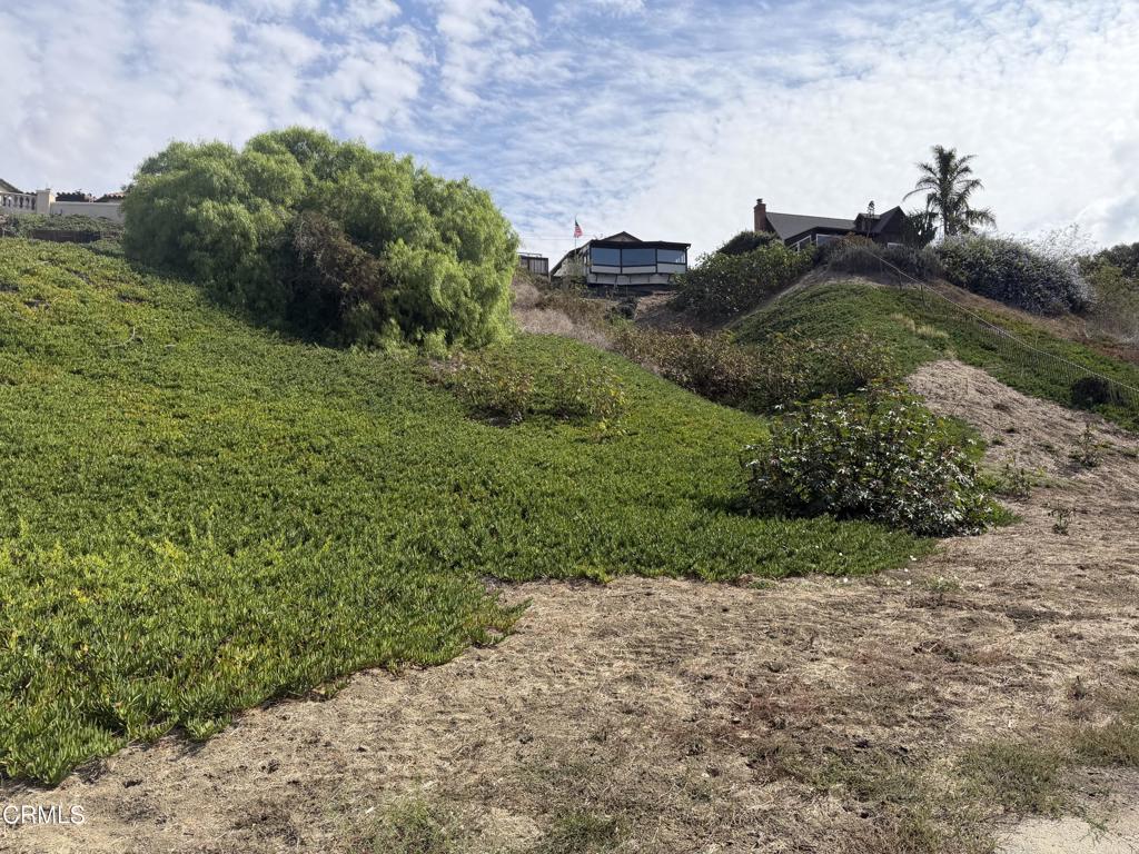 0 Alessandro Property Photo 4