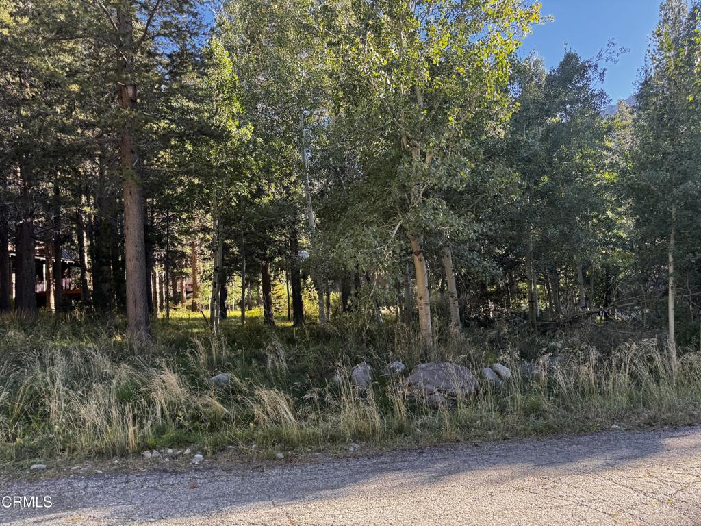 Lot 2 Minaret Road Property Photo 1
