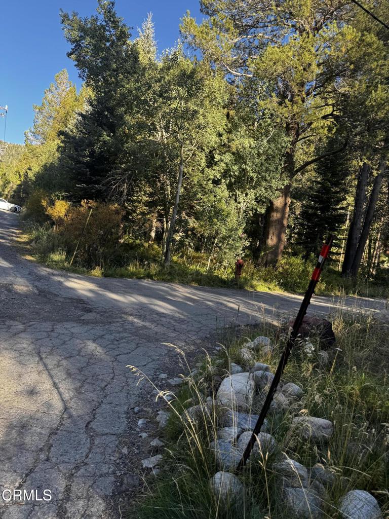Lot 1 Aspen Grove Lane Property Photo 1