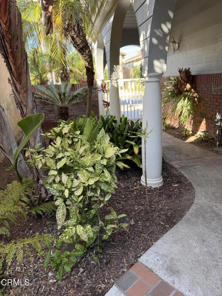 4030 Ischia Drive Property Photo 5