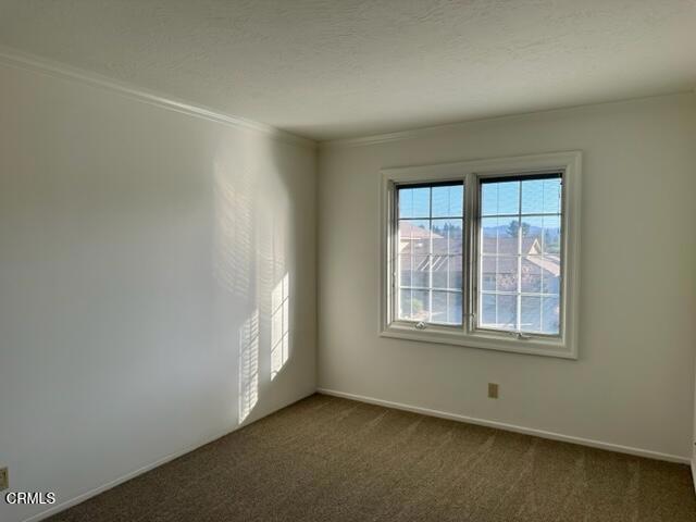 3970 Verde Vista Drive Property Photo 20