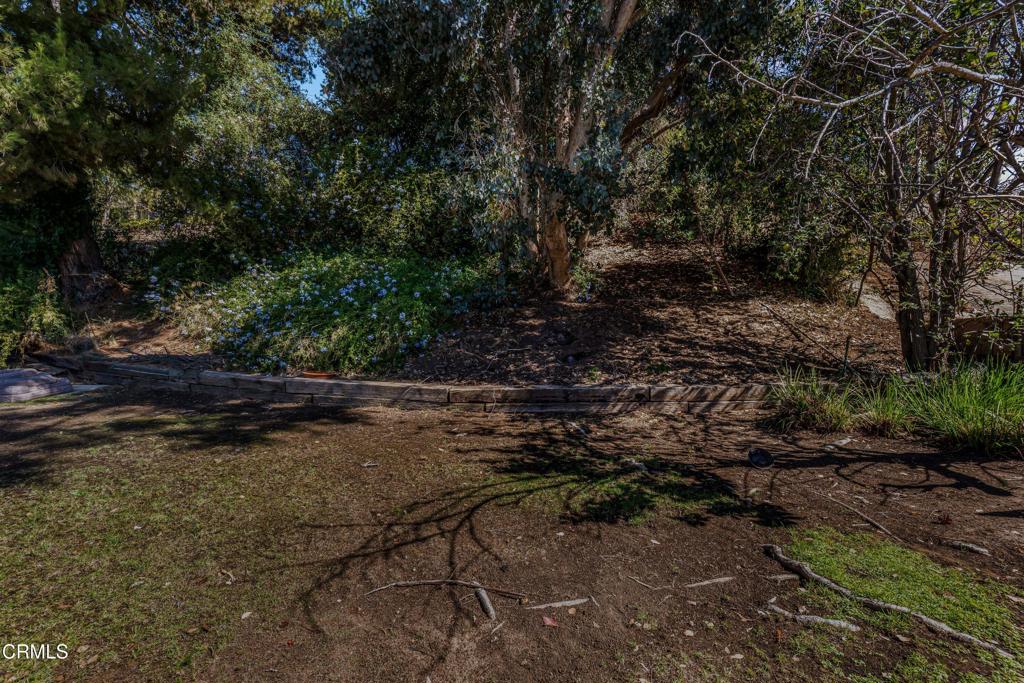 716 Paseo De Leon Property Photo 36