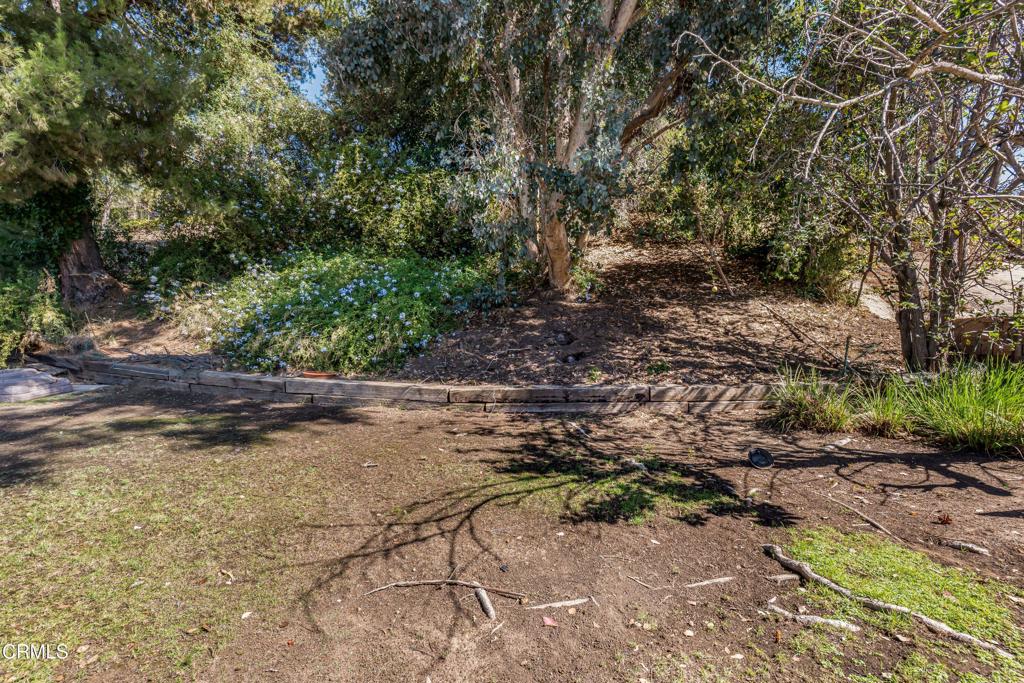 716 Paseo De Leon Property Photo 37