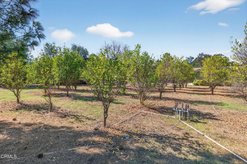 1125 Spring Street Property Photo 60