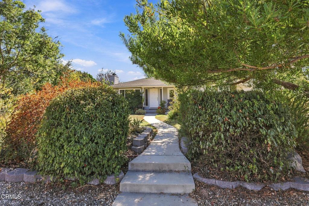 96 Kunkle Street Property Photo 41