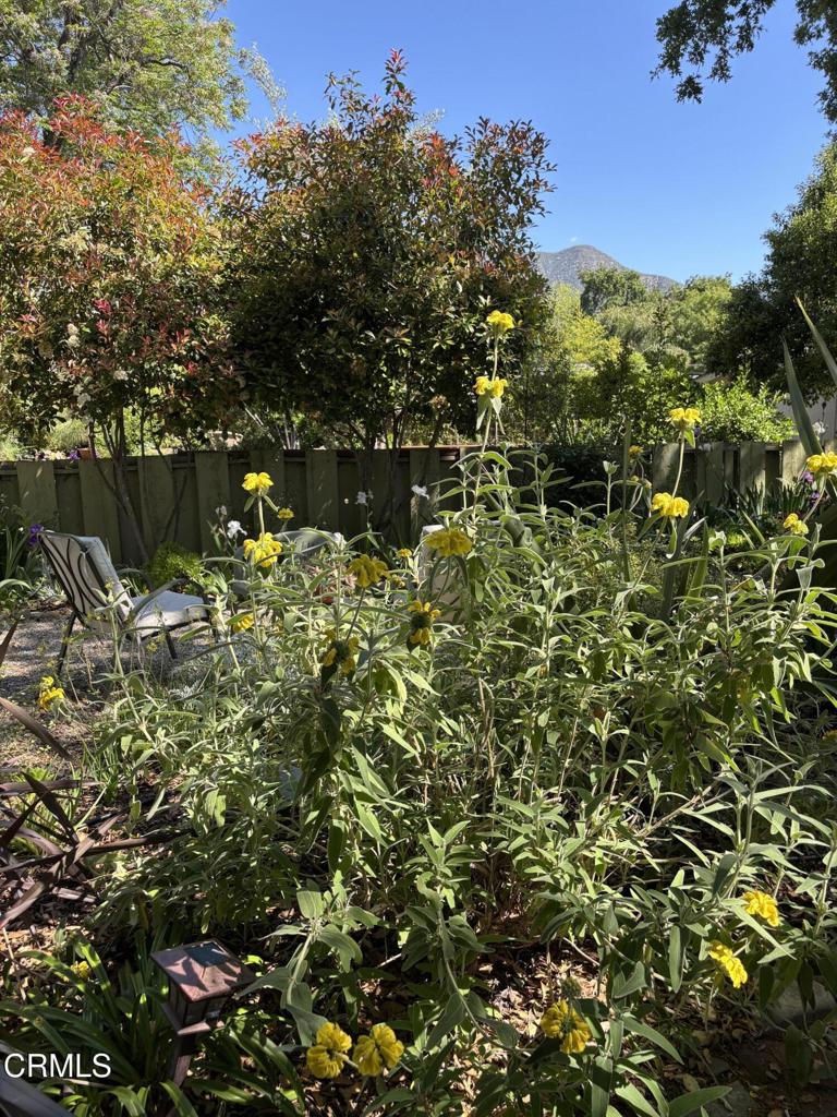 412 N Fulton Street Property Photo 3