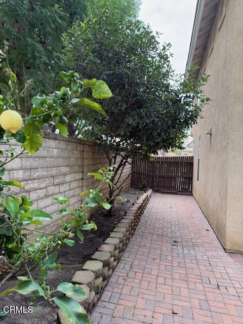 4599 Via Aciando Property Photo 39