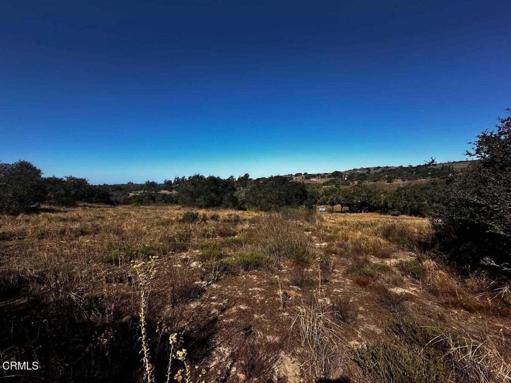 1990 Tularosa Road #4 Property Photo 19