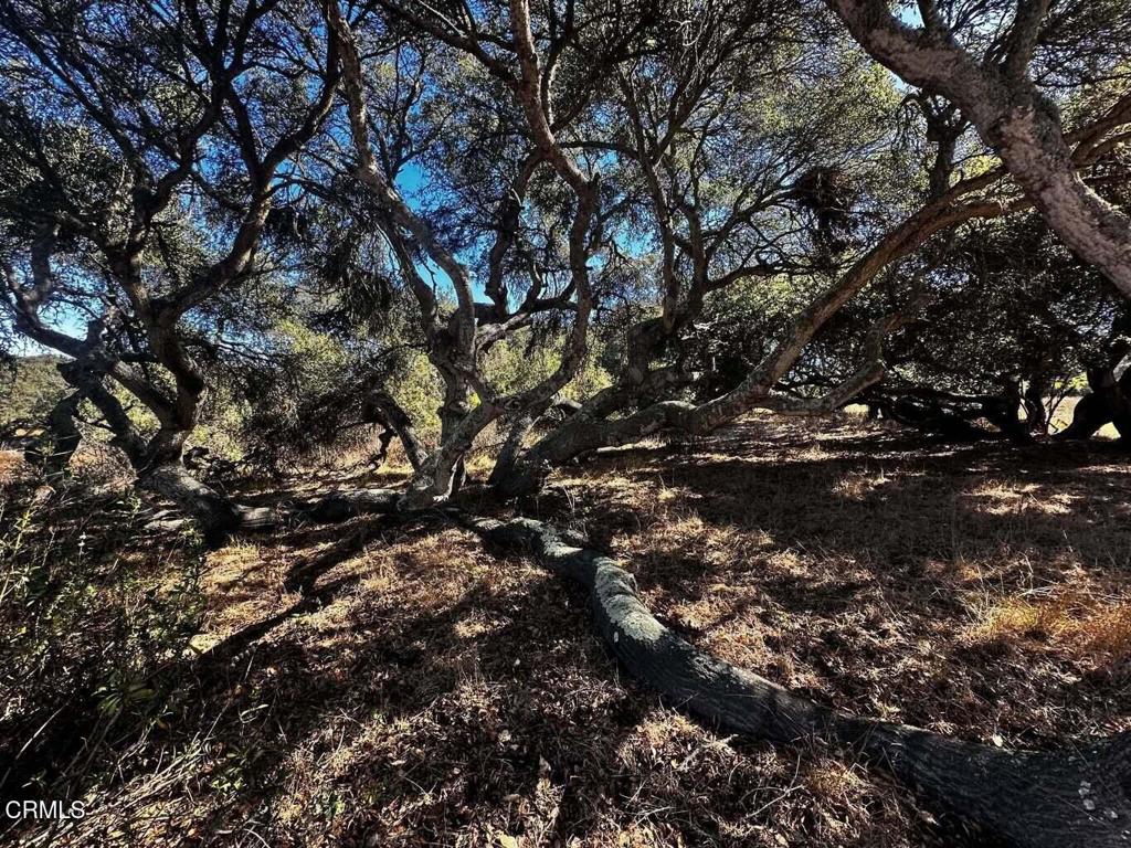 1990 Tularosa Road #4 Property Photo 27