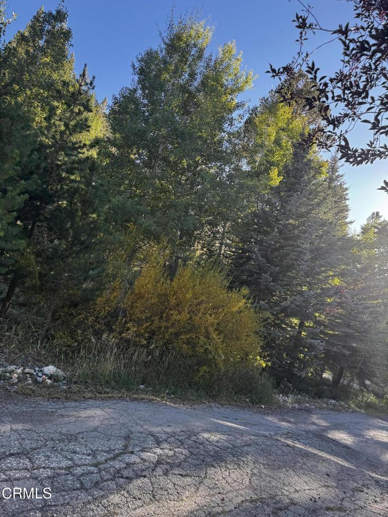 Lot 2 Minaret Road Property Photo 1