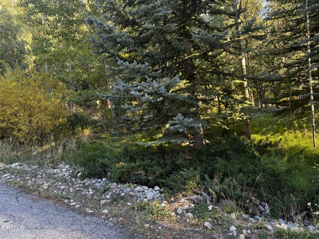 Lot 3 Minaret Road Property Photo 1