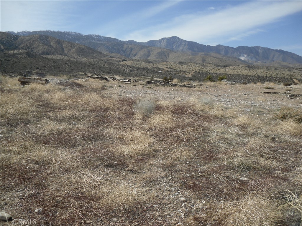 33164 Rose Amber Road Property Photo 2