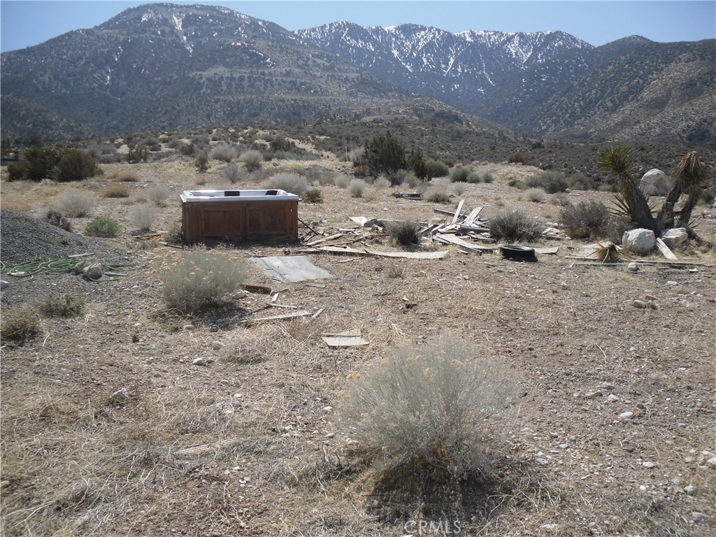 33164 Rose Amber Road Property Photo 4