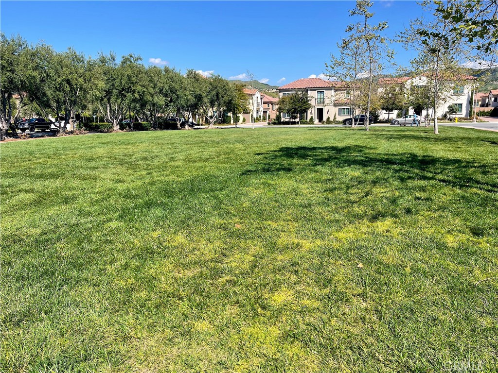 117 Appian Property Photo 18