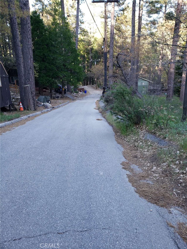 29531 Little Bear Creek Road Property Photo 13