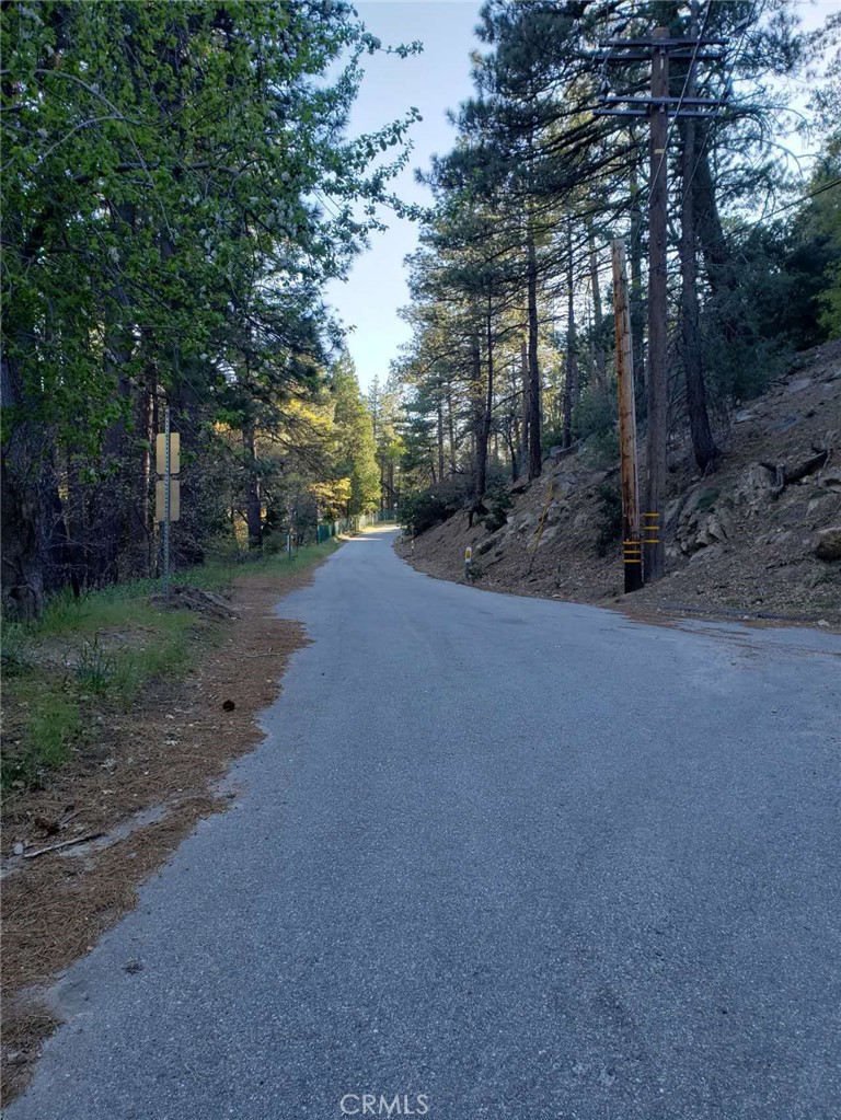 29531 Little Bear Creek Road Property Photo 15
