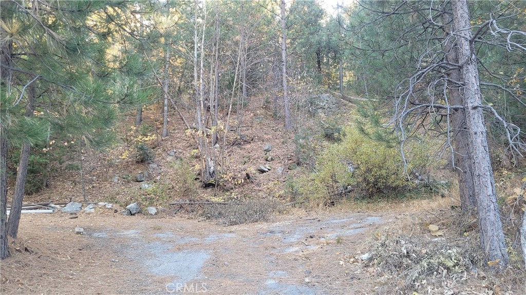 0 Water Drive Property Photo 3