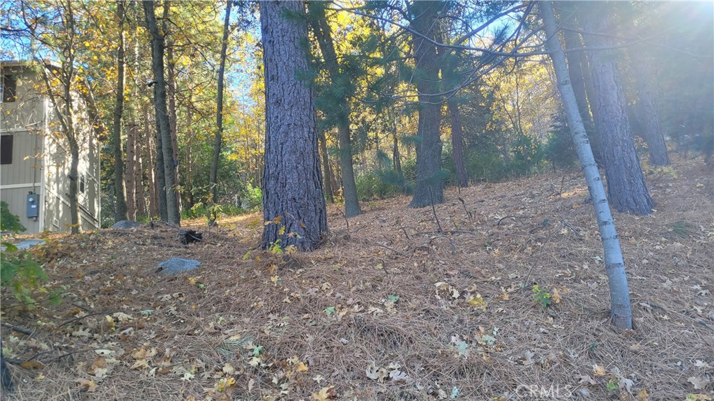 0 Water Drive Property Photo 5
