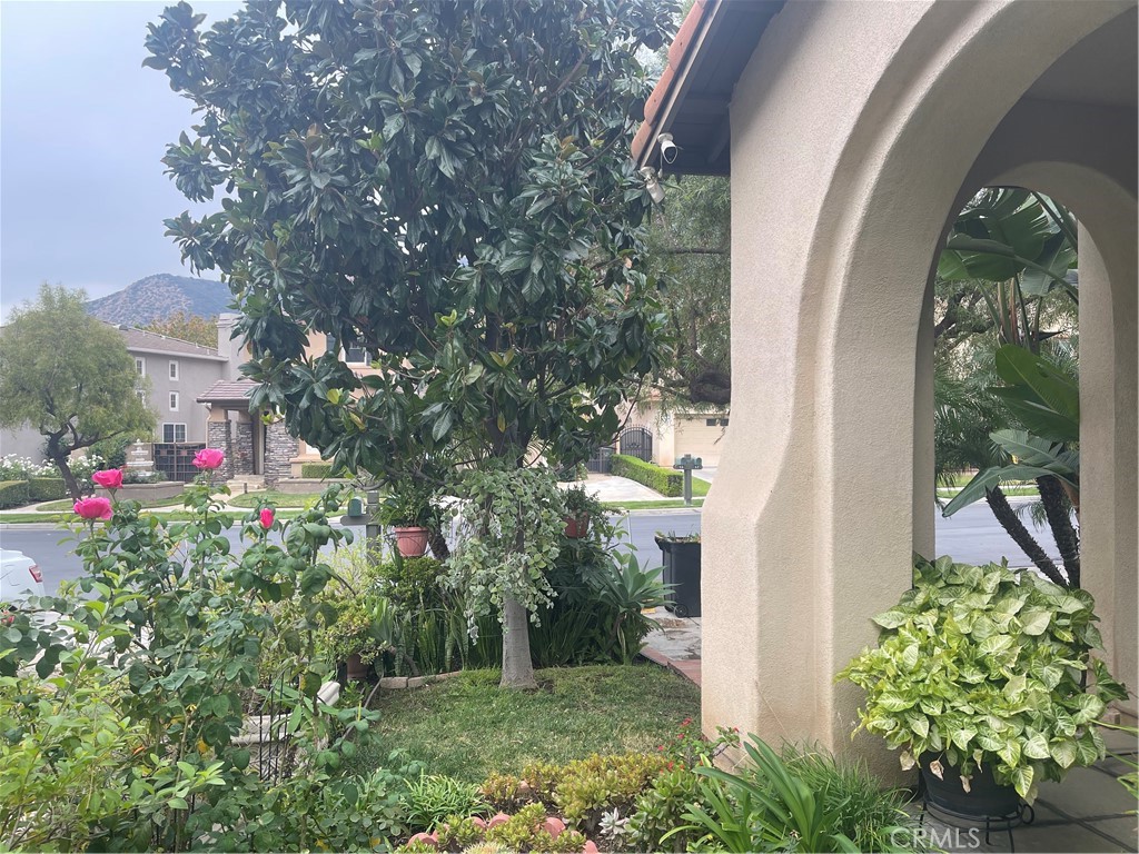 20 Silver Forest Court Property Photo 20