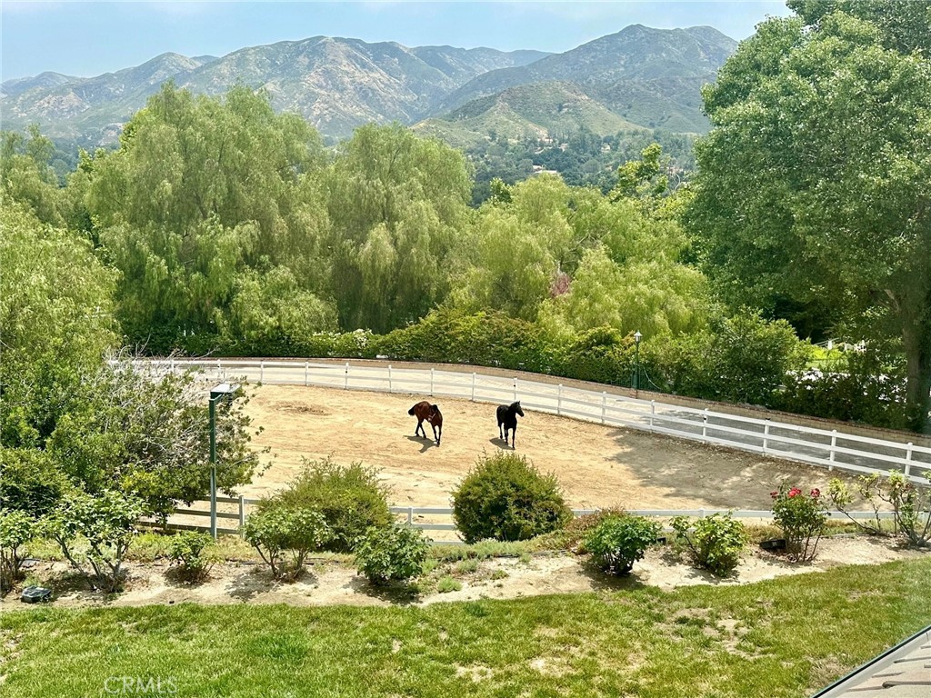 16418 Cambria Estates Lane Property Photo 33