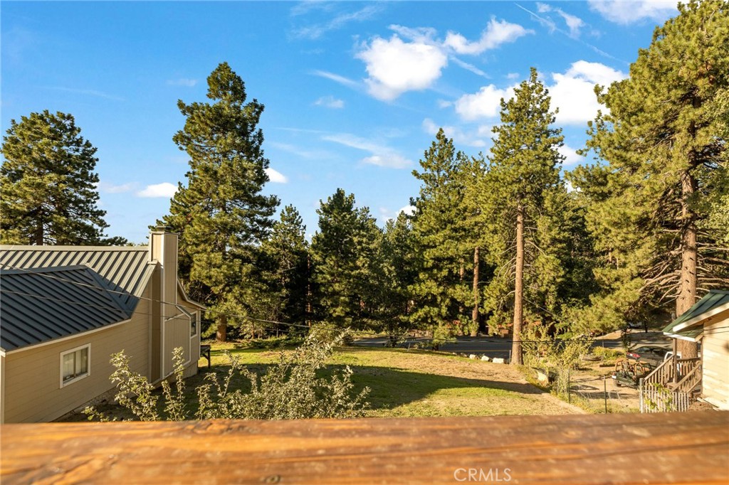 31671 Silver Spruce Drive Property Photo 27