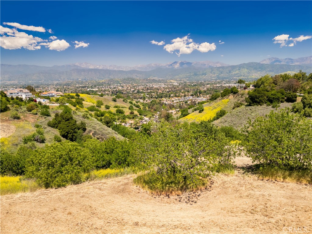 1545 Calle Cristina Property Photo 4