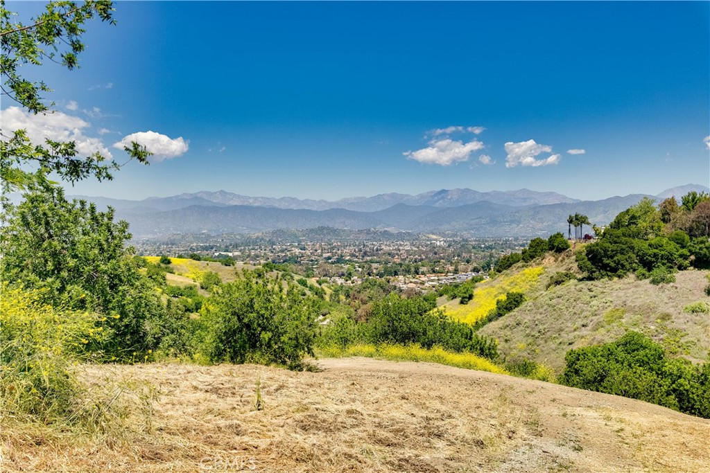 1545 Calle Cristina Property Photo 5