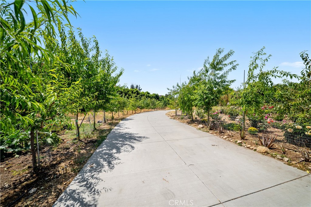 12605 Kagel Canyon Road Property Photo 29