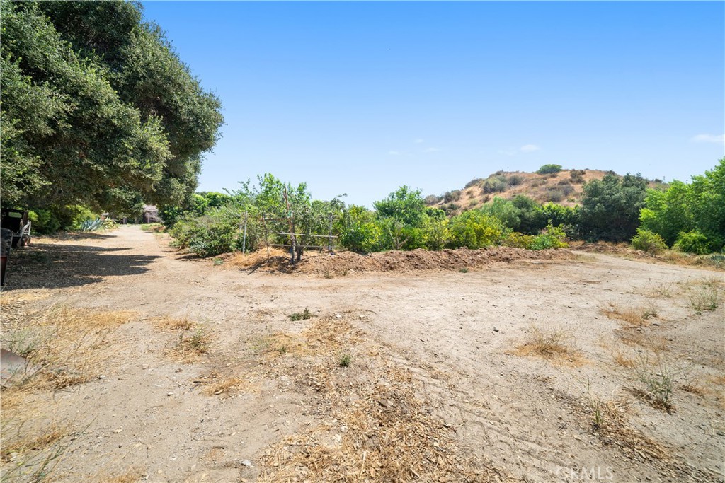 12605 Kagel Canyon Road Property Photo 35