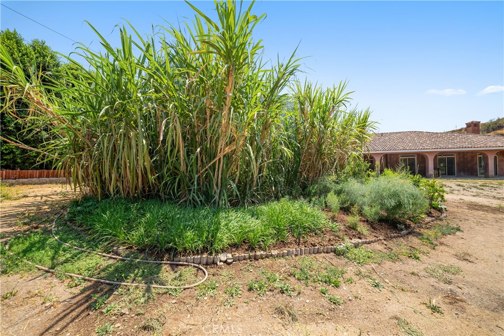 12605 Kagel Canyon Road Property Photo 37
