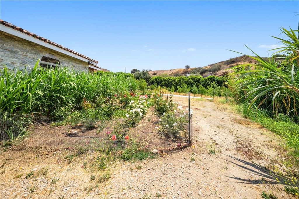 12605 Kagel Canyon Road Property Photo 39