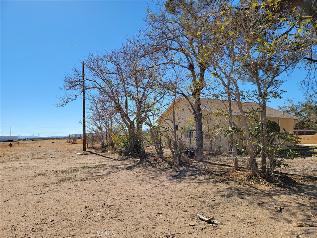 11957 Bartlett Property Photo 15