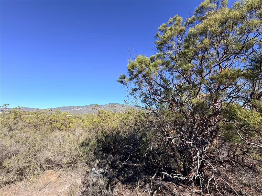0 Glenda Property Photo 1