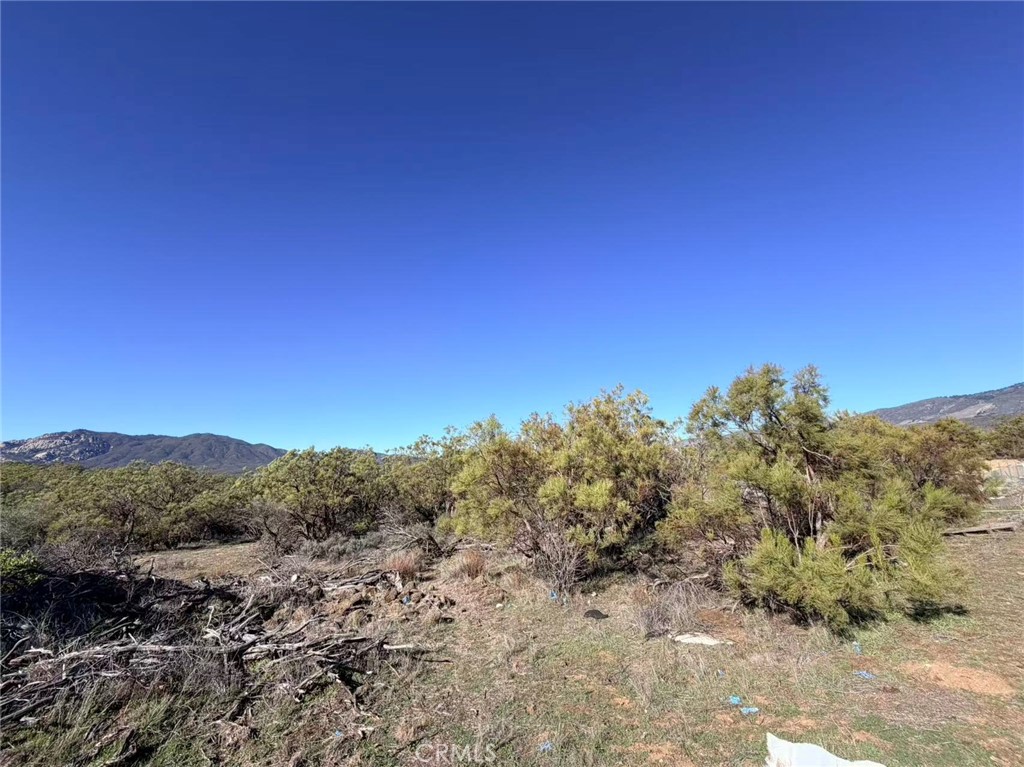 0 Glenda Property Photo 2