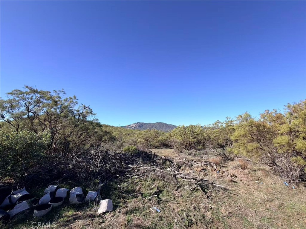 0 Glenda Property Photo 3