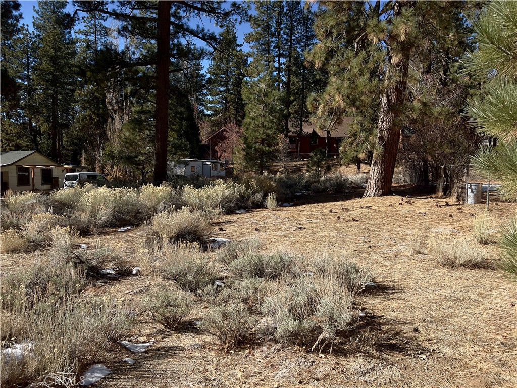 1 Canyon Road Property Photo 8
