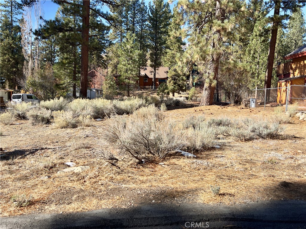 0 Canyon Road Property Photo 2