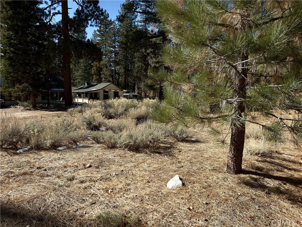 0 Canyon Road Property Photo 3