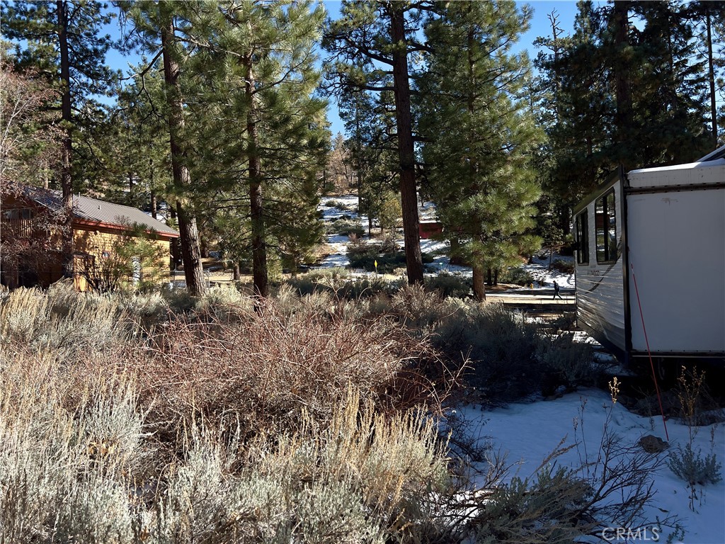 0 Canyon Road Property Photo 5