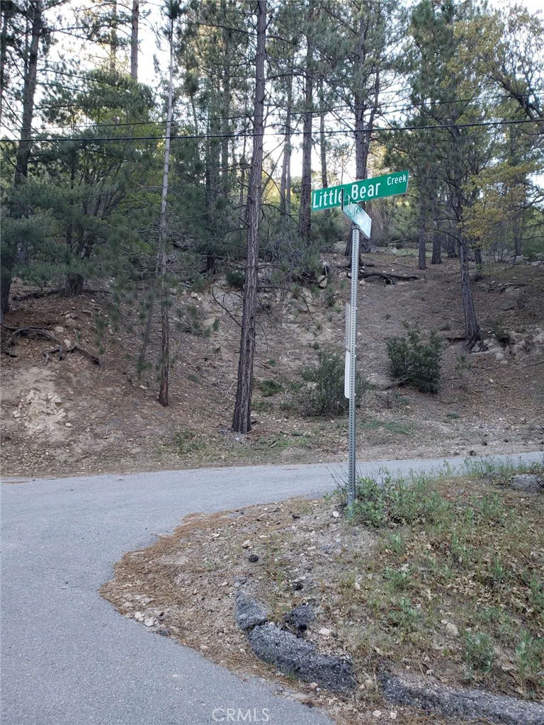 29531 Little Bear Creek Road Property Photo 10