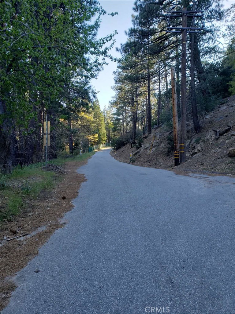 29531 Little Bear Creek Road Property Photo 12