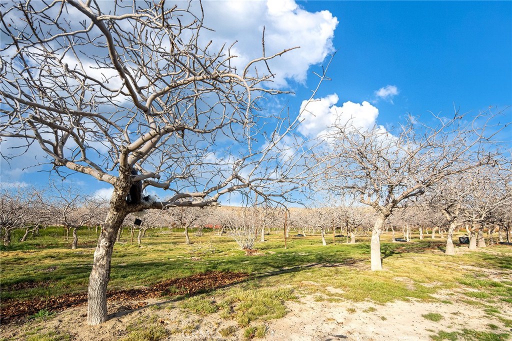 31516 Clay River Road Property Photo 52