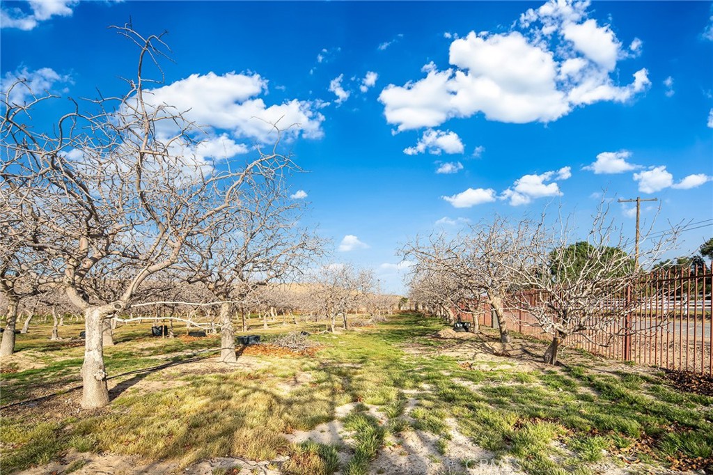 31516 Clay River Road Property Photo 53