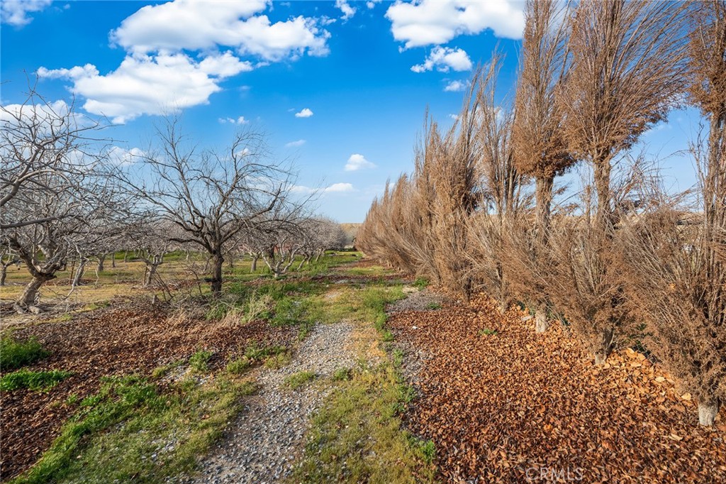 31516 Clay River Road Property Photo 54